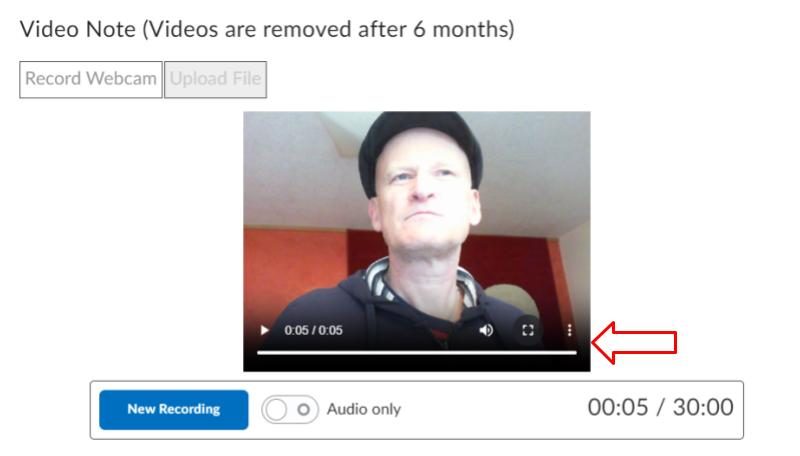 A red arrow pointing to the Review recording player preview