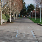 The walkways at Cascade campus surrounded by fresh green grass and budding trees.