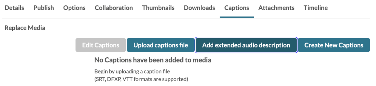 You can now add extended audio descriptions under the Captions menu in My Media.