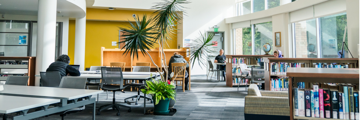 Students studying at a library.