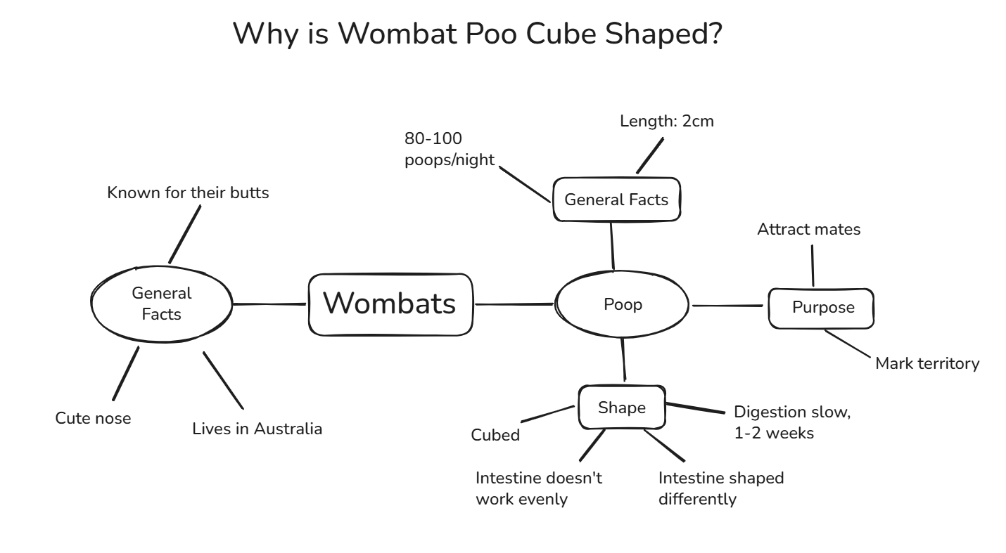 Concept mind map about wombats