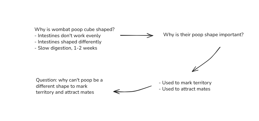 Wombat flow chart
