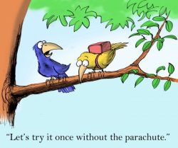 Cartoon of a bird coaching another bird learning how to fly