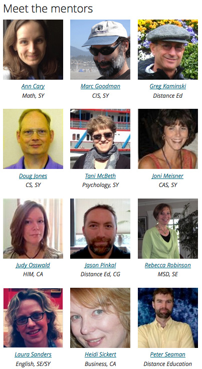Picture of our online faculty menter team