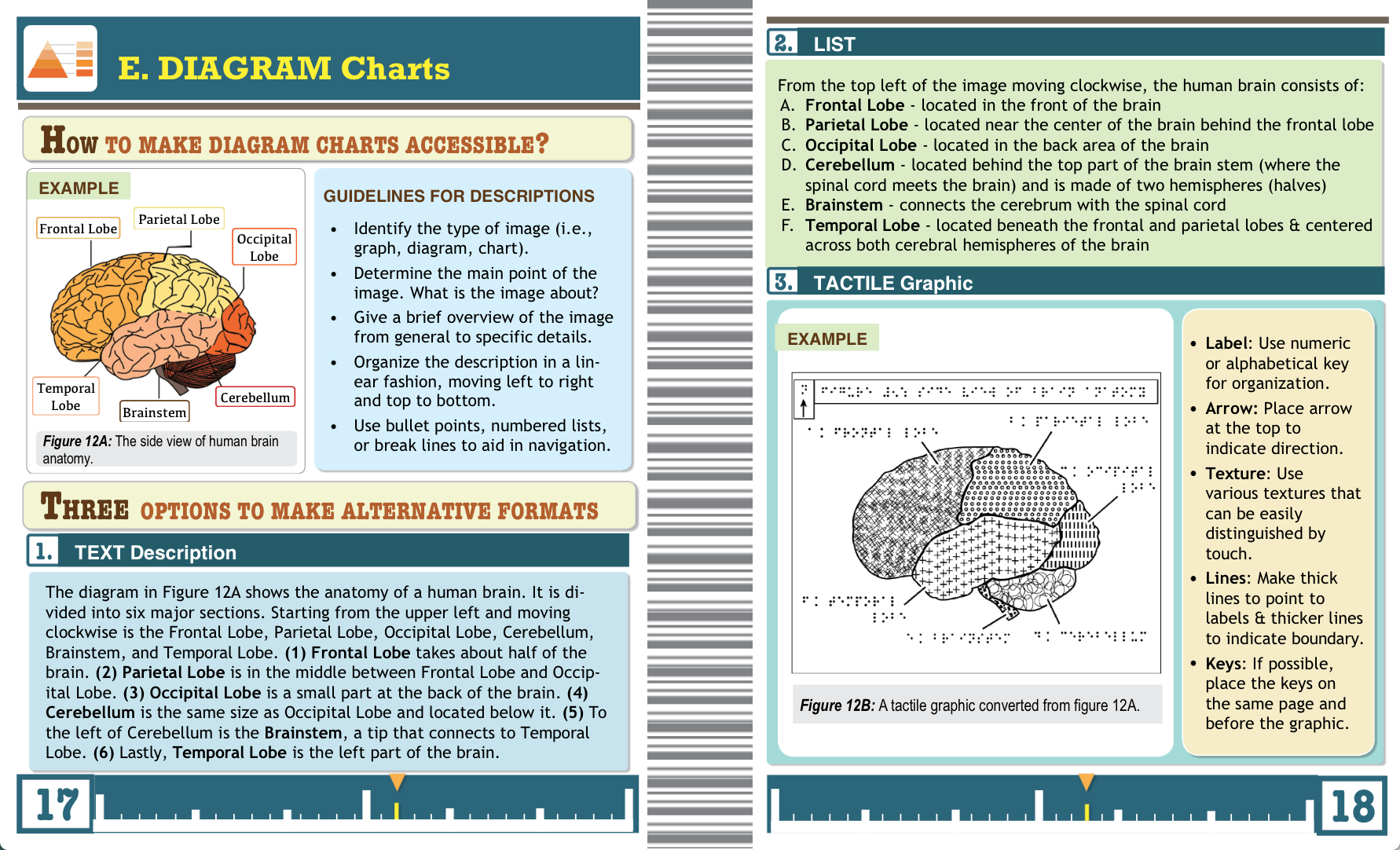 A sample of converting a diagram in 3 different accessible formats, description, lists and tactile graphic.