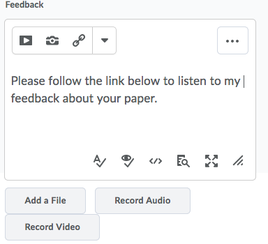 Image showing where to click on Record Audio in order to add voice feedback
