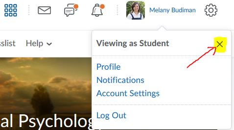 Exit view as a student in your D2L Brightspace course