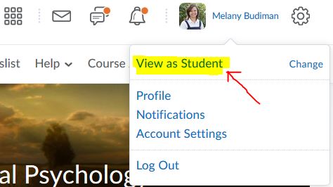 View your D2L Brightspace course as a student