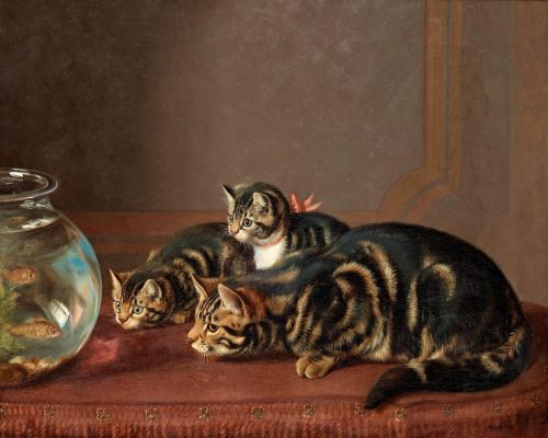 Image of cats watching fish in a fishbowl