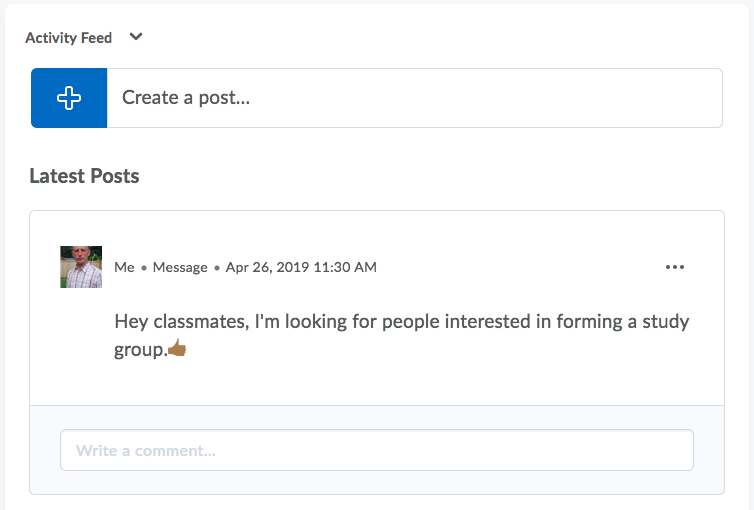 Students can post to the activity feed and it shows an avatar next to their post.