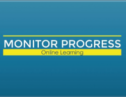 How to monitor progress for Online Learning