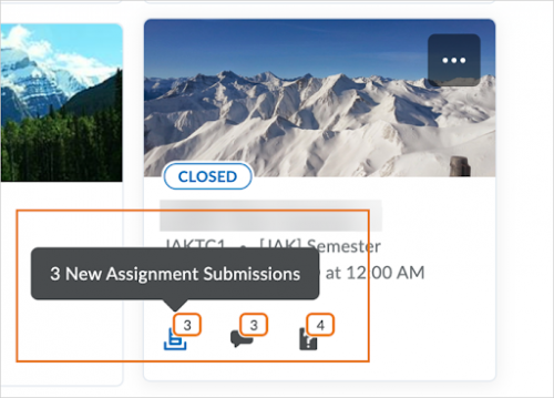 The My Courses widget displays unevaluated Assignments submissions