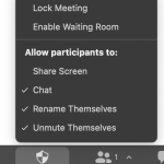 The new zoom security button lets you quickly manage participants.