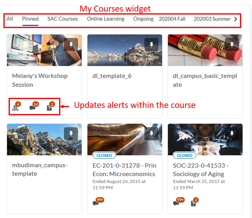 D2l Homepage: homepage area -My Courses widget