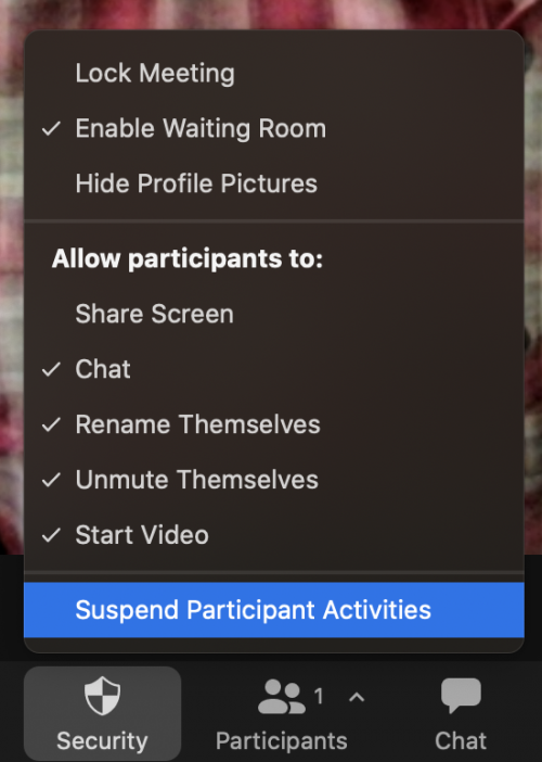Suspend Participant activity from the Security menu