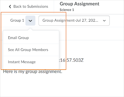 The drop-down action menu appears from the Group Name on the File Submission page in Assignments