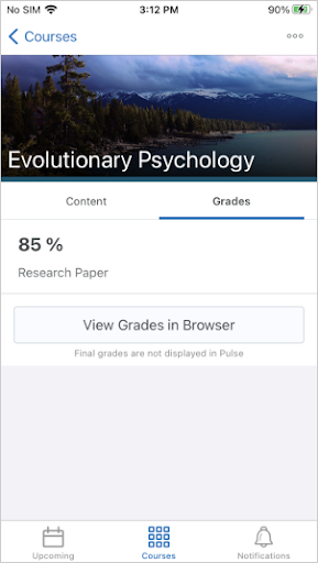 The new Grades tab for a course in Brightspace Pulse