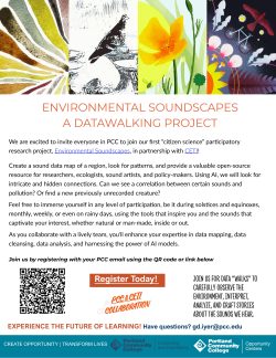 Environmental Soundscapes flyer