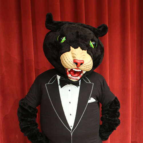 mascot poppie the panther, clear non-pixelated image