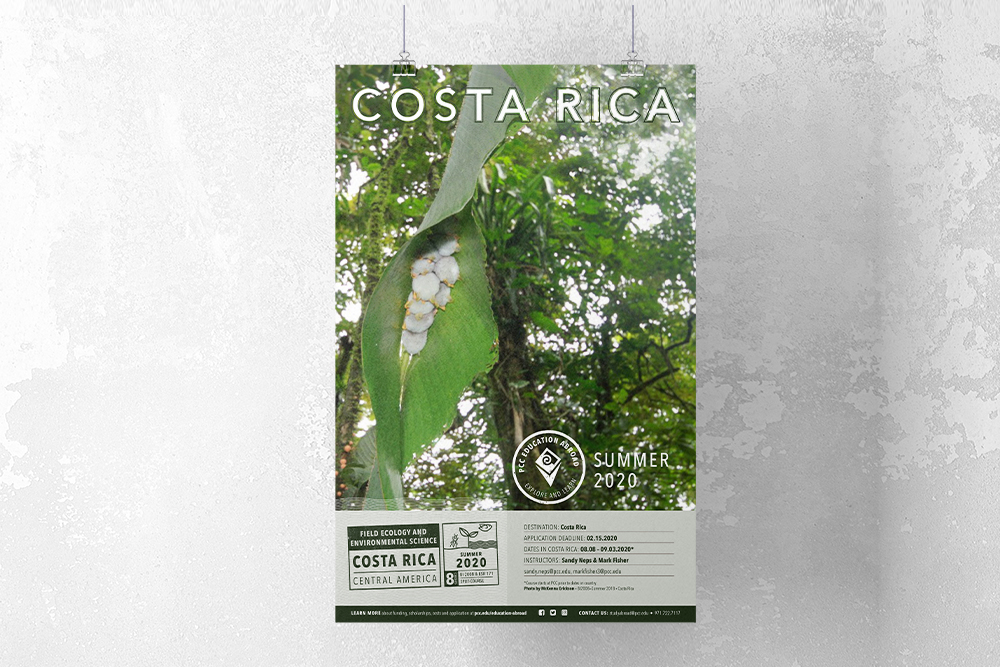 Image of PCC Education Abroad Costa Rica poster