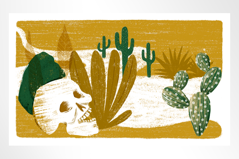 Illustration of a human skull amongst a desert path with cacti.