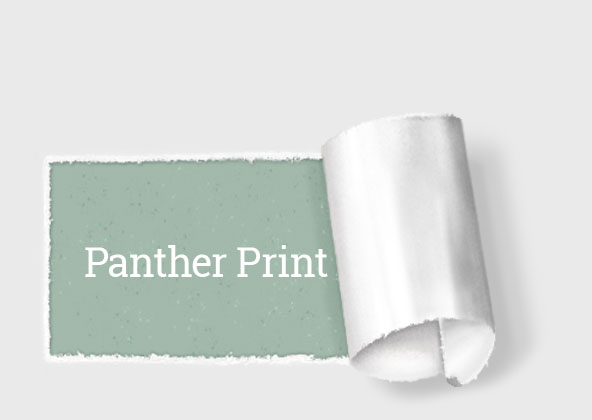 Panther Print button