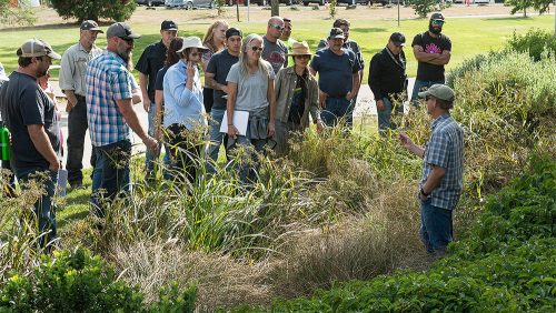 A group of adults stands outdoors in a landscaped area, listening to an instructor - David Sandrock, who is pointing out plants and grasses during a hands-on landscaping or horticulture training session in a park-like setting.