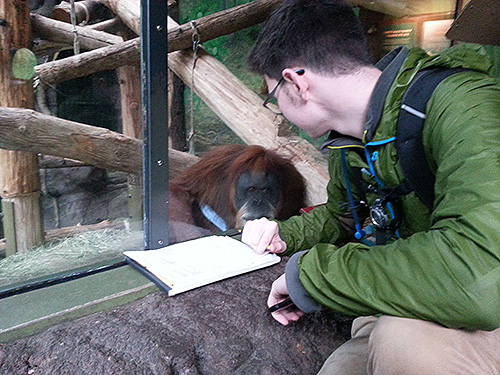 Student observing primates at the zoo