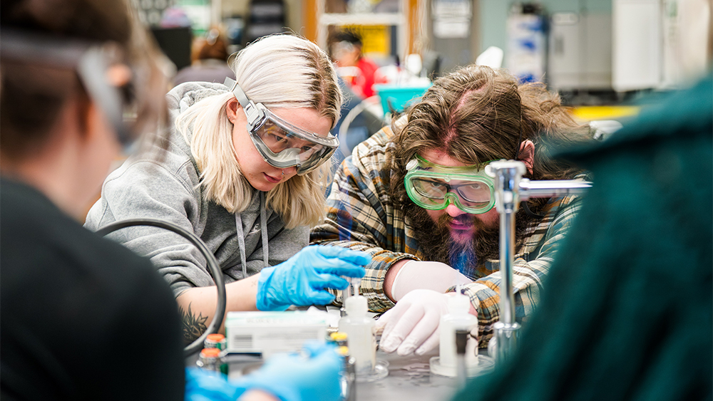 Students working with organic compounds in a lab