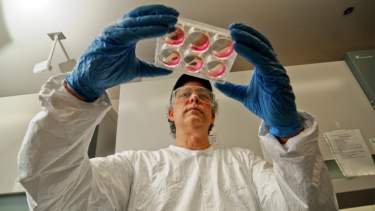 Bioscience Technology (BIT) Award | Portland Community College (PCC ...