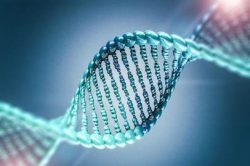 dna