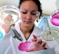 scientist in lab