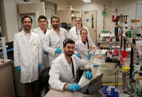 PCC students in lab