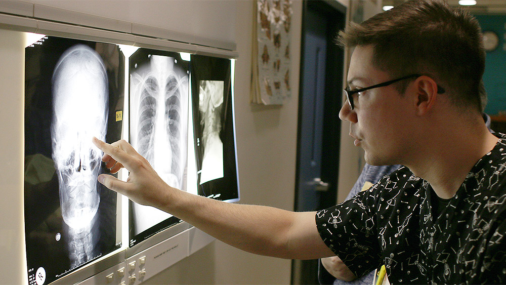 Students looking at CT scans