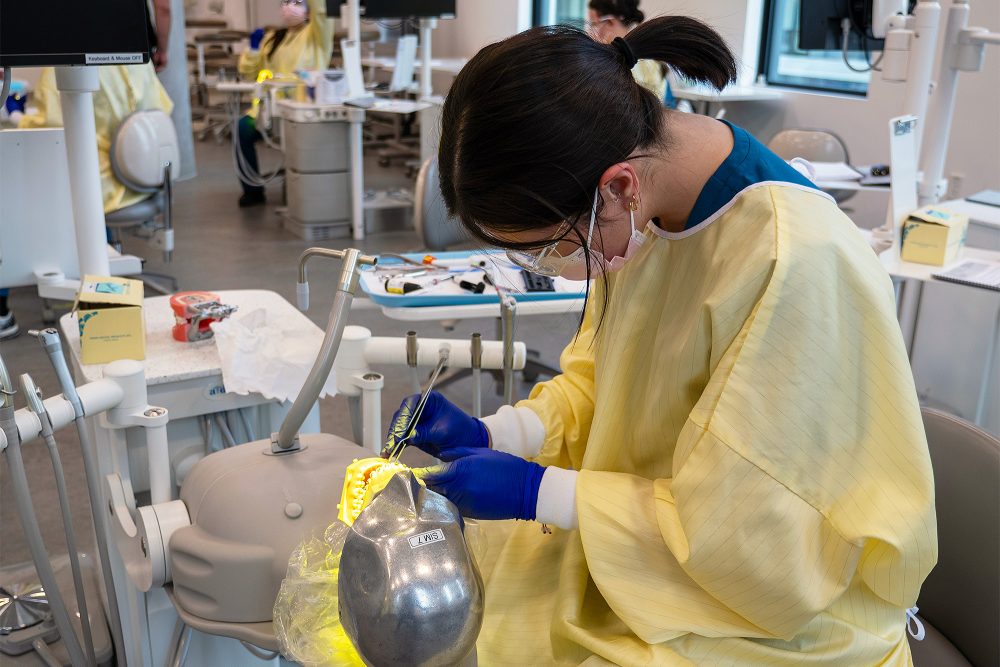 Dental assisting student working with model teeth in the lab