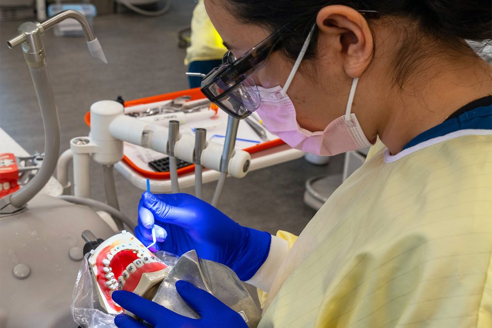 Dental Assisting student working on a model's braces