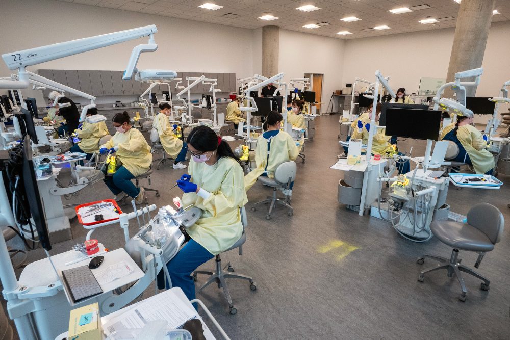Wide shot of the Dental Assisting classroom with students working individually