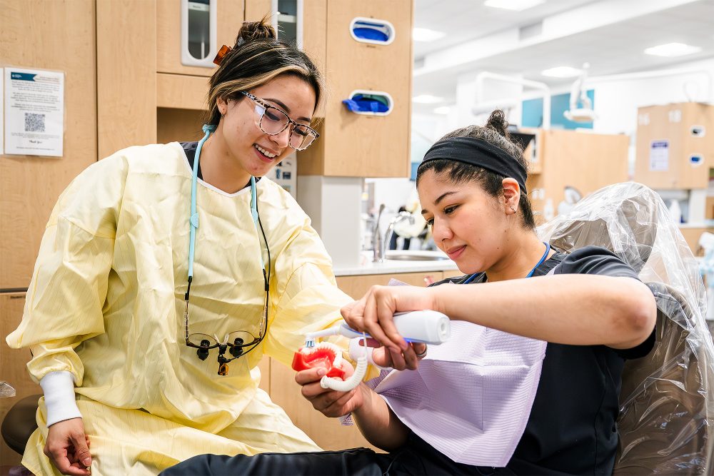 Dental hygiene student demonstrating how to brush model teeth for a mock patient