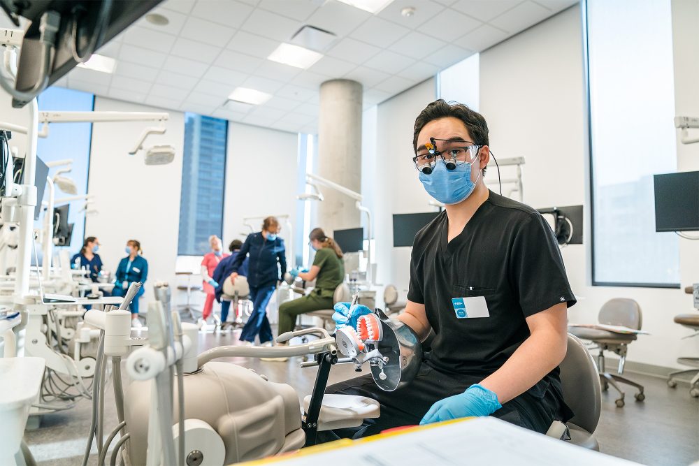 Student in the dental lab