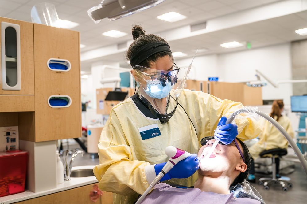 Student polishing a mock patient's teeth
