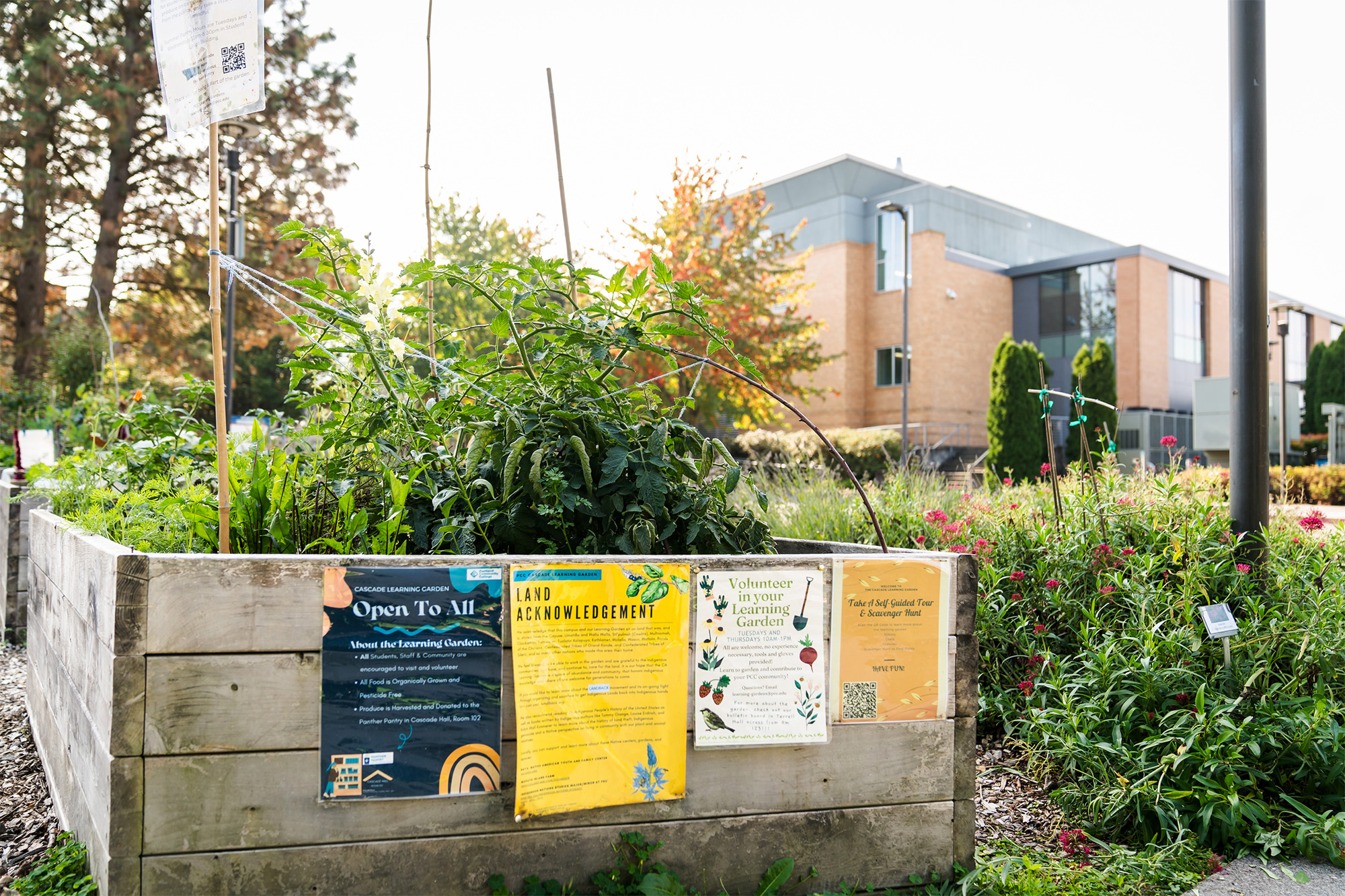 PCC Learning Garden