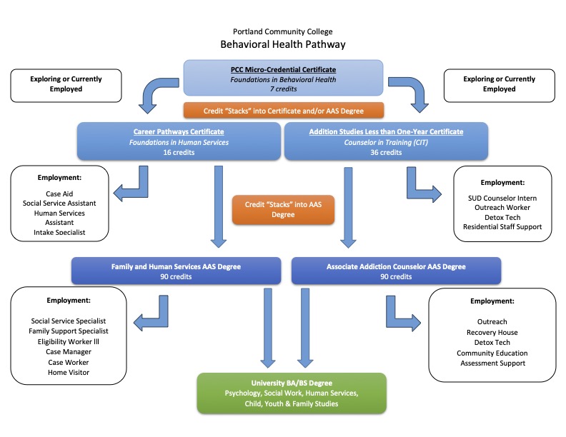 Behavioral Health Pathway Roadmap