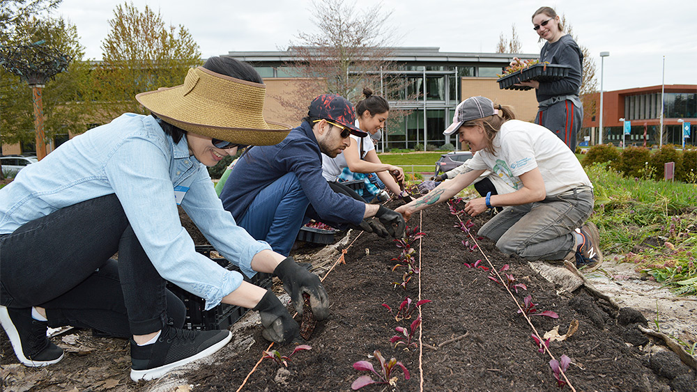 Students planting in the campus learning garden