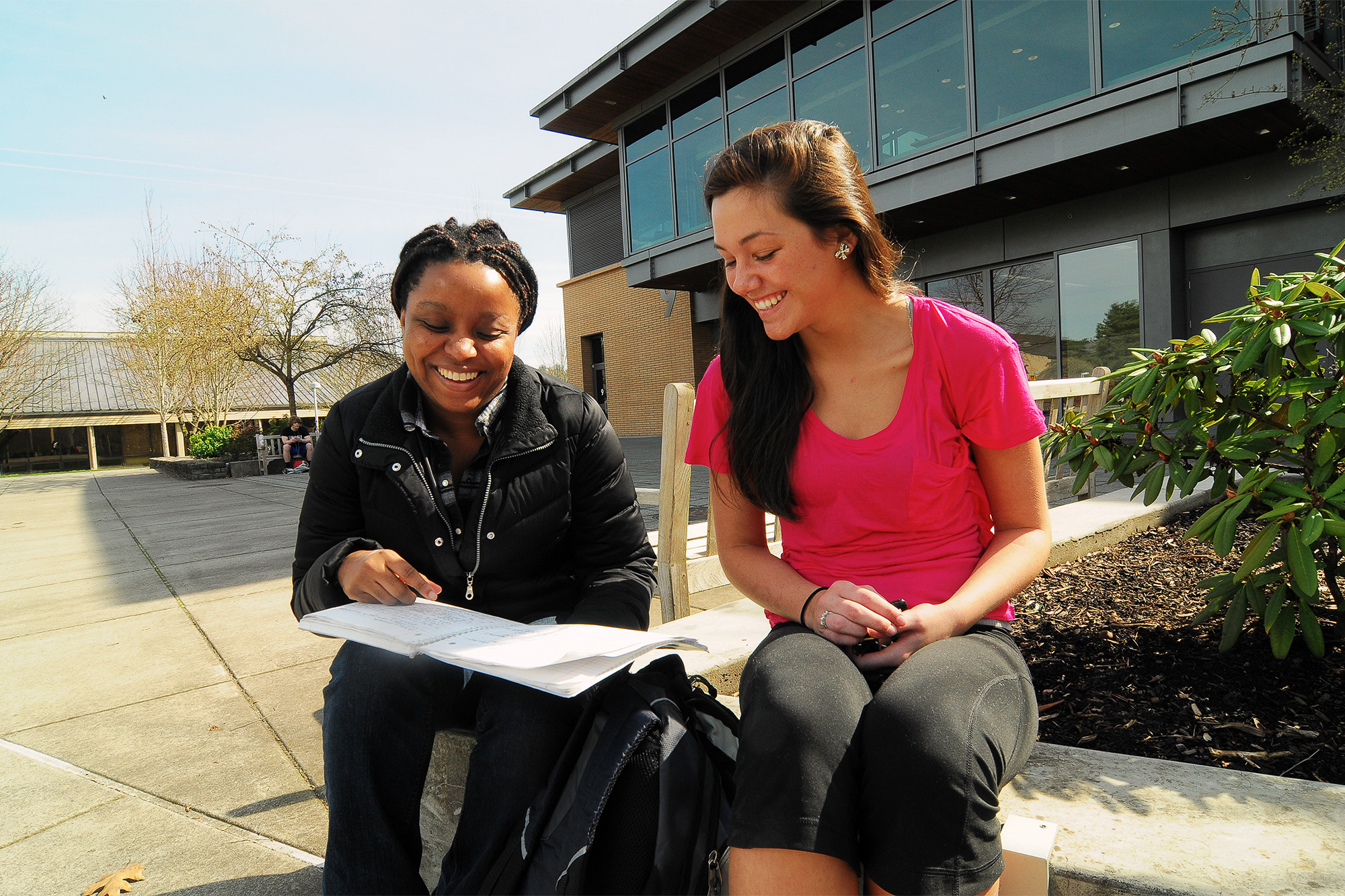 Students studying outside together