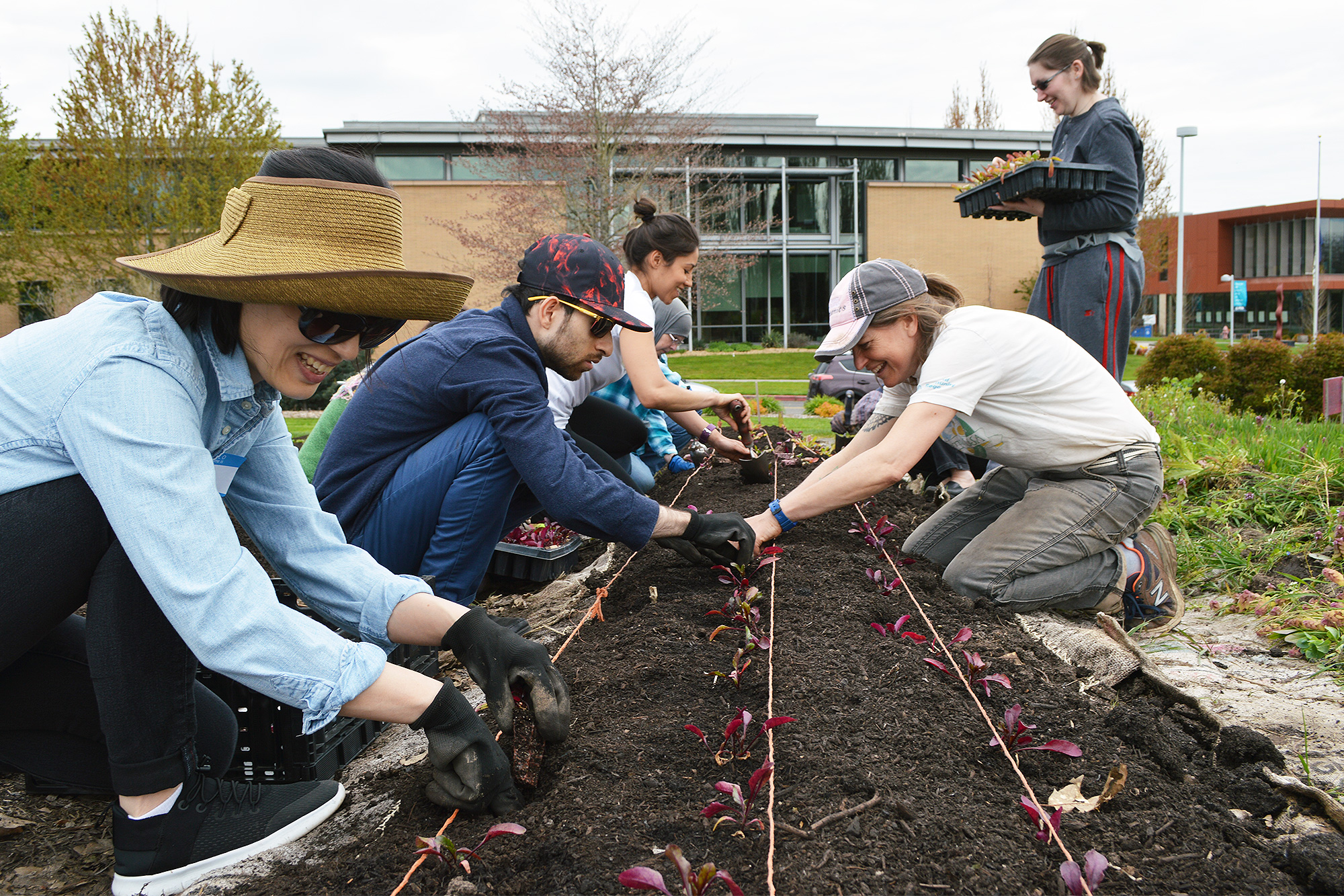 Students planting in the campus learning garden