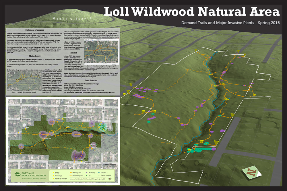 student sample: Wildwood nature area