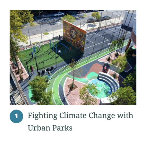 Fighting climate change with urban parks
