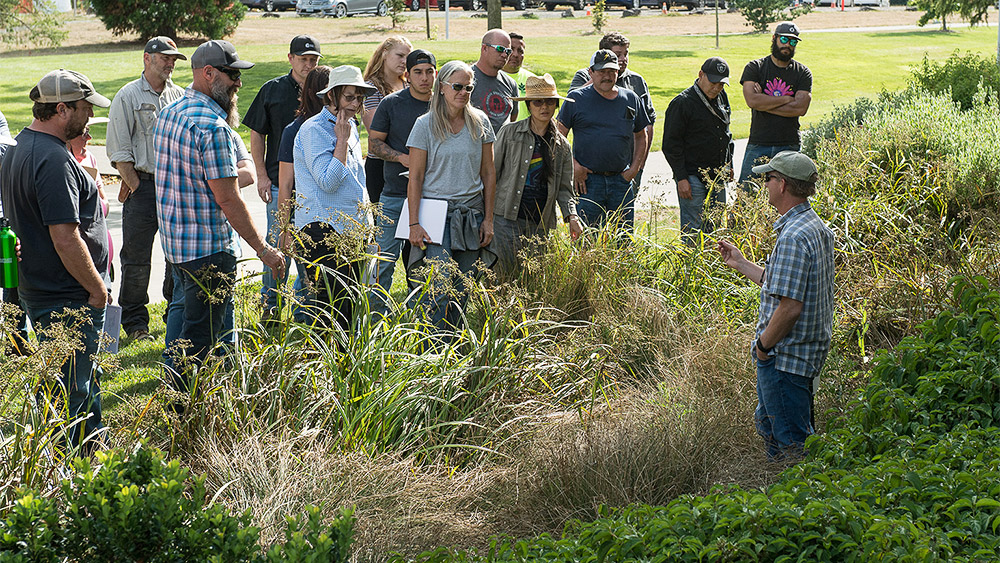 Students and instructor standing among grasses and discussing water quality landscaping