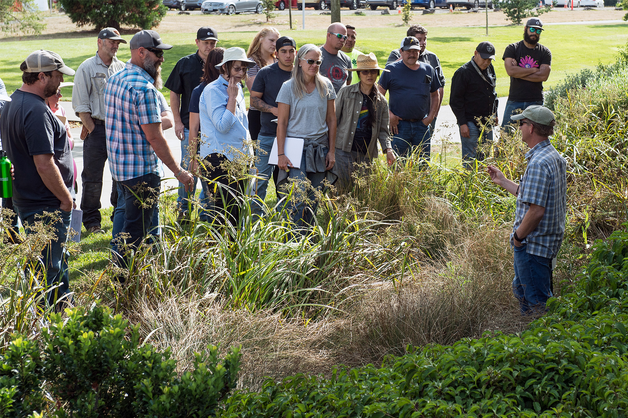 Students and instructor standing among grasses and discussing water quality landscaping