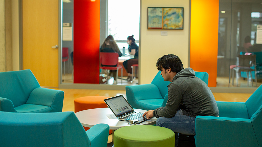 Student working on laptop in bright library lounge